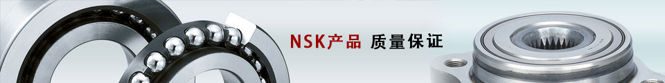 NSK產(chǎn)品  /  軸承組件